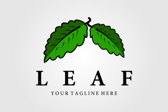 Download Leaf Vintage Logo Vector Illustration - Vector Collection