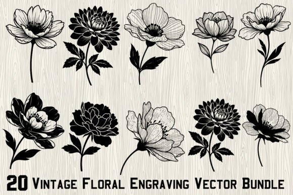 Download 20Vintage Floral Engraving Vector Bundle - Vector Collection